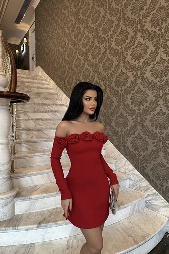 [ATE-0839-SML222] Red Rose Mini Dress